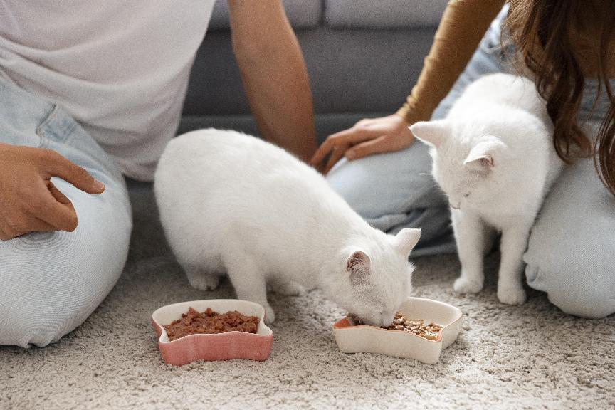 Care sunt cerințele nutriționale4